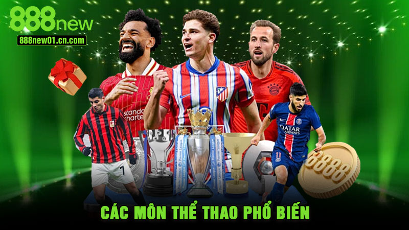 Các môn thể thao phổ biến