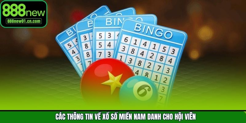 Nắm rõ các lô đề miền Nam dành cho hội viên