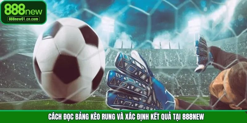Cách đọc bảng kèo rung và xác định kết quả tại 888New